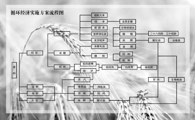 生物柴油發(fā)電機(jī)發(fā)電